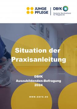 Situation der Praxisanleitung
